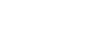 Nanci Lindholz Logo-White