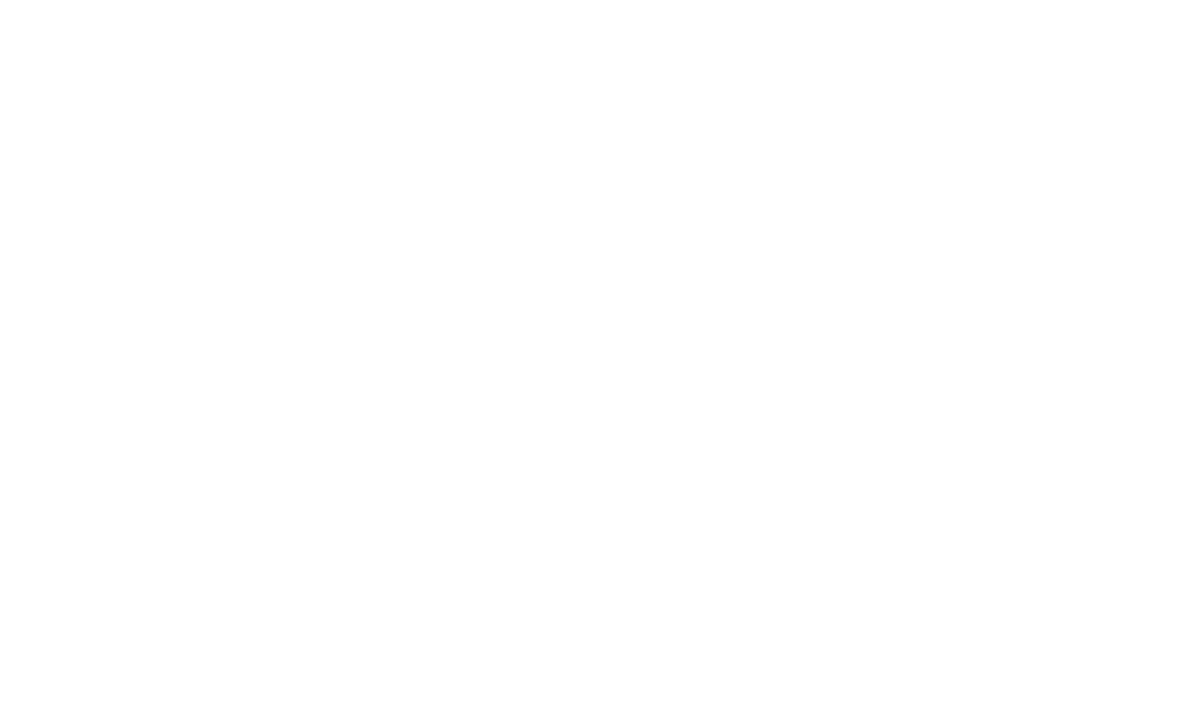 Nanci Lindholz Logo-White